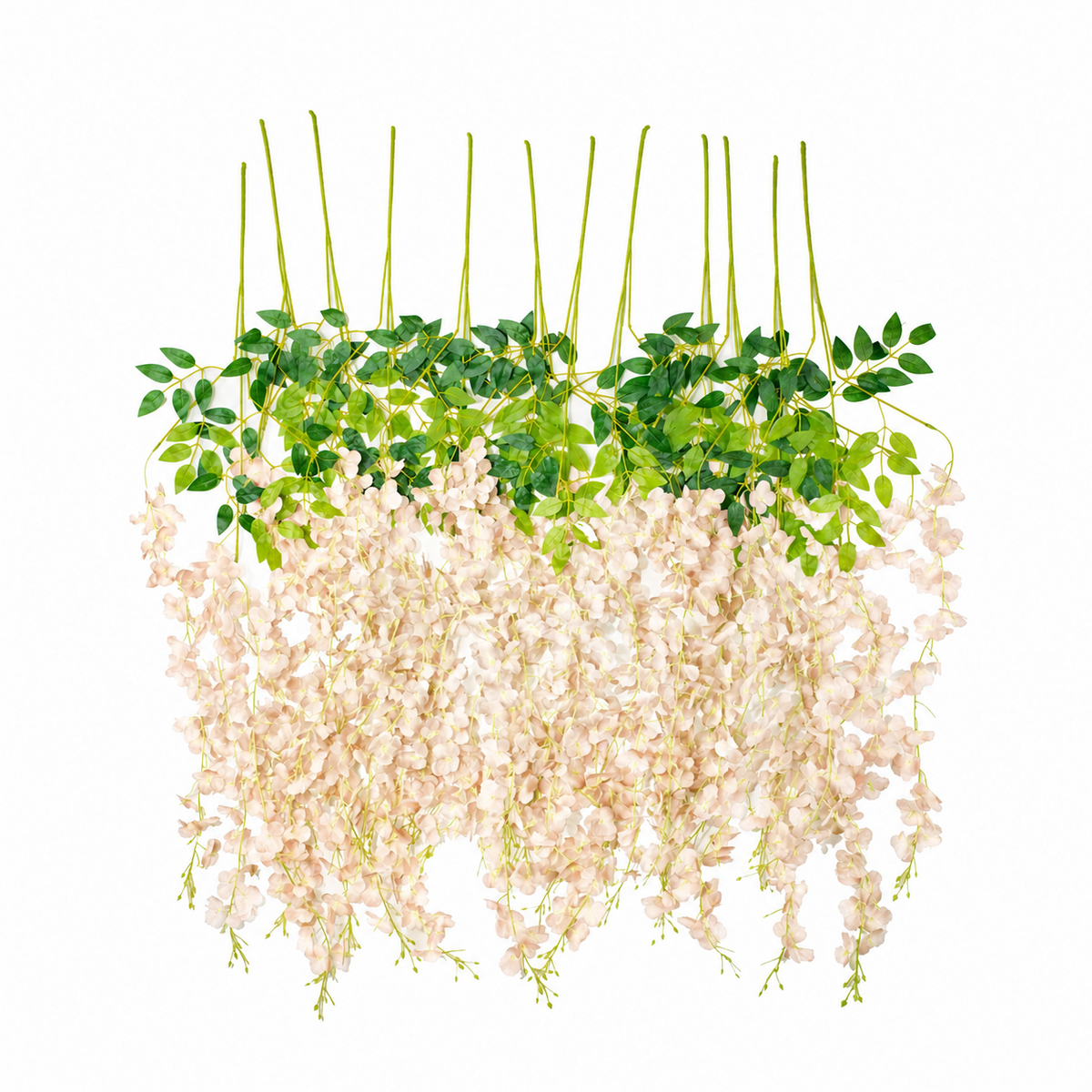 Vara Colgante Glicinas Crema Champagne 100 cm Pack x12