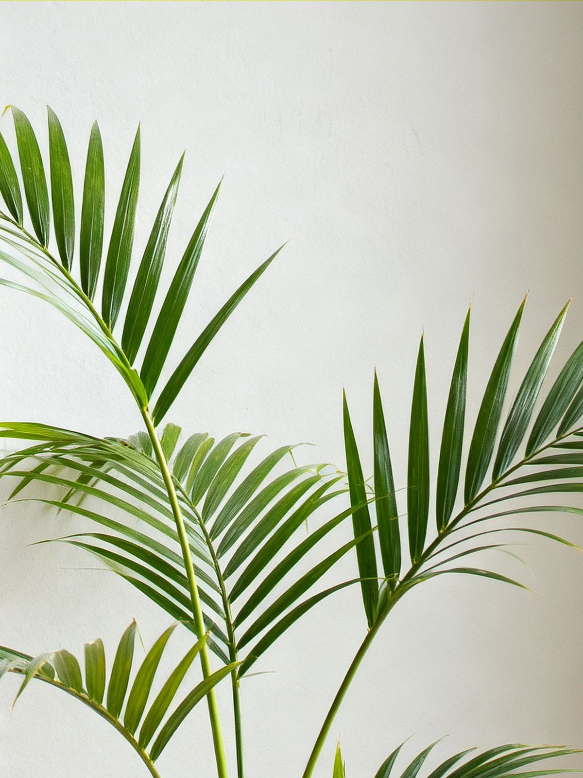 Palmera artificial 110 cm con maceta