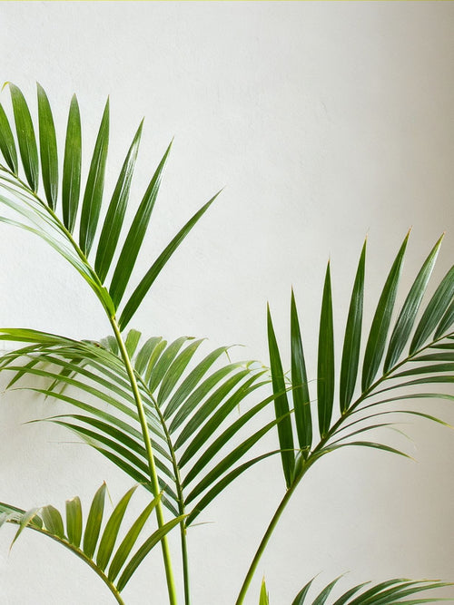 Palmera artificial 110 cm con maceta
