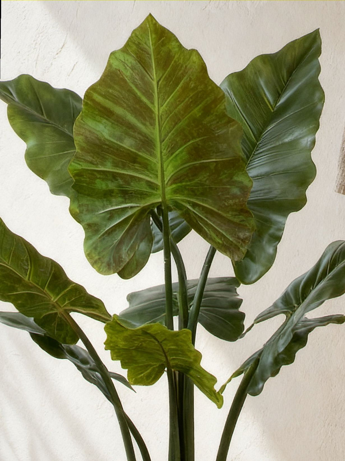 Planta Artificial Oreja de Elefante 110 cm Decorativa con Maceta