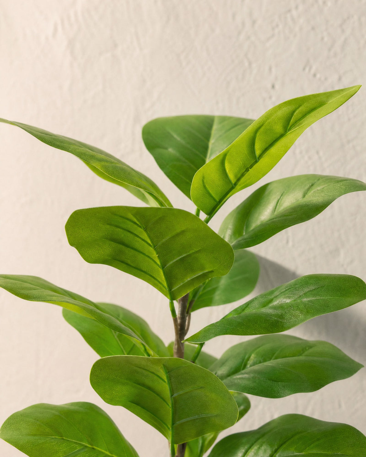 Planta Ficus Gomero Artificial 70 cm Verde Claro con Maceta