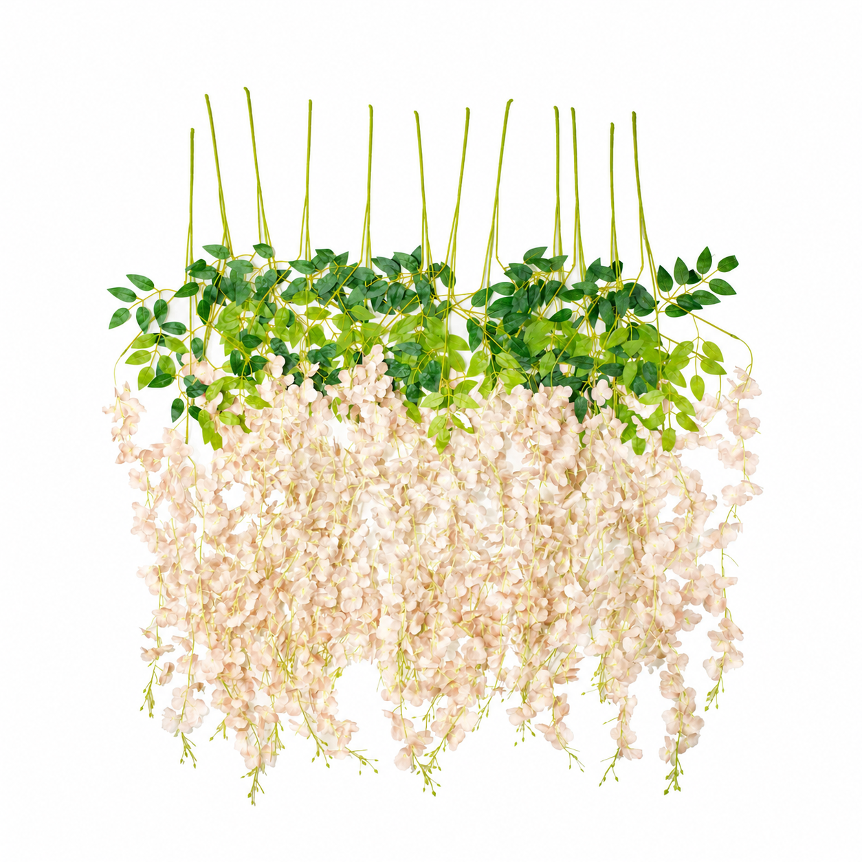 Vara Colgante Glicinas Crema Champagne 100 cm Pack x12