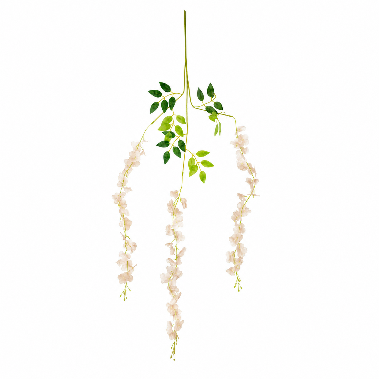 Vara Colgante Glicinas Crema Champagne 100 cm Pack x12