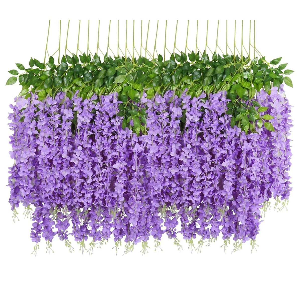 Vara Colgante Wisteria Glicinia Lila 100 cm Pack x12