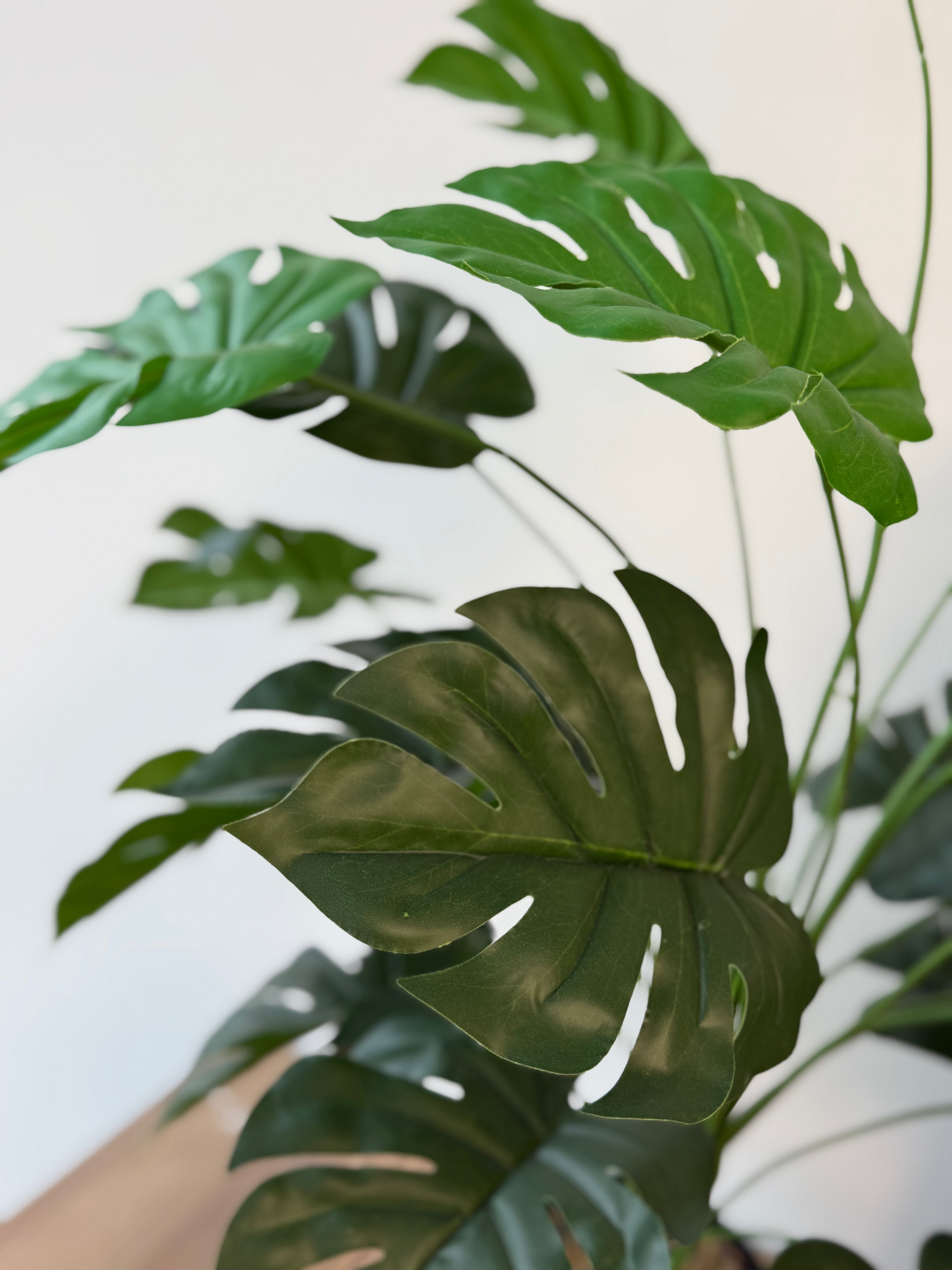 Planta Artificial Monstera 80 cm Decorativa con Maceta