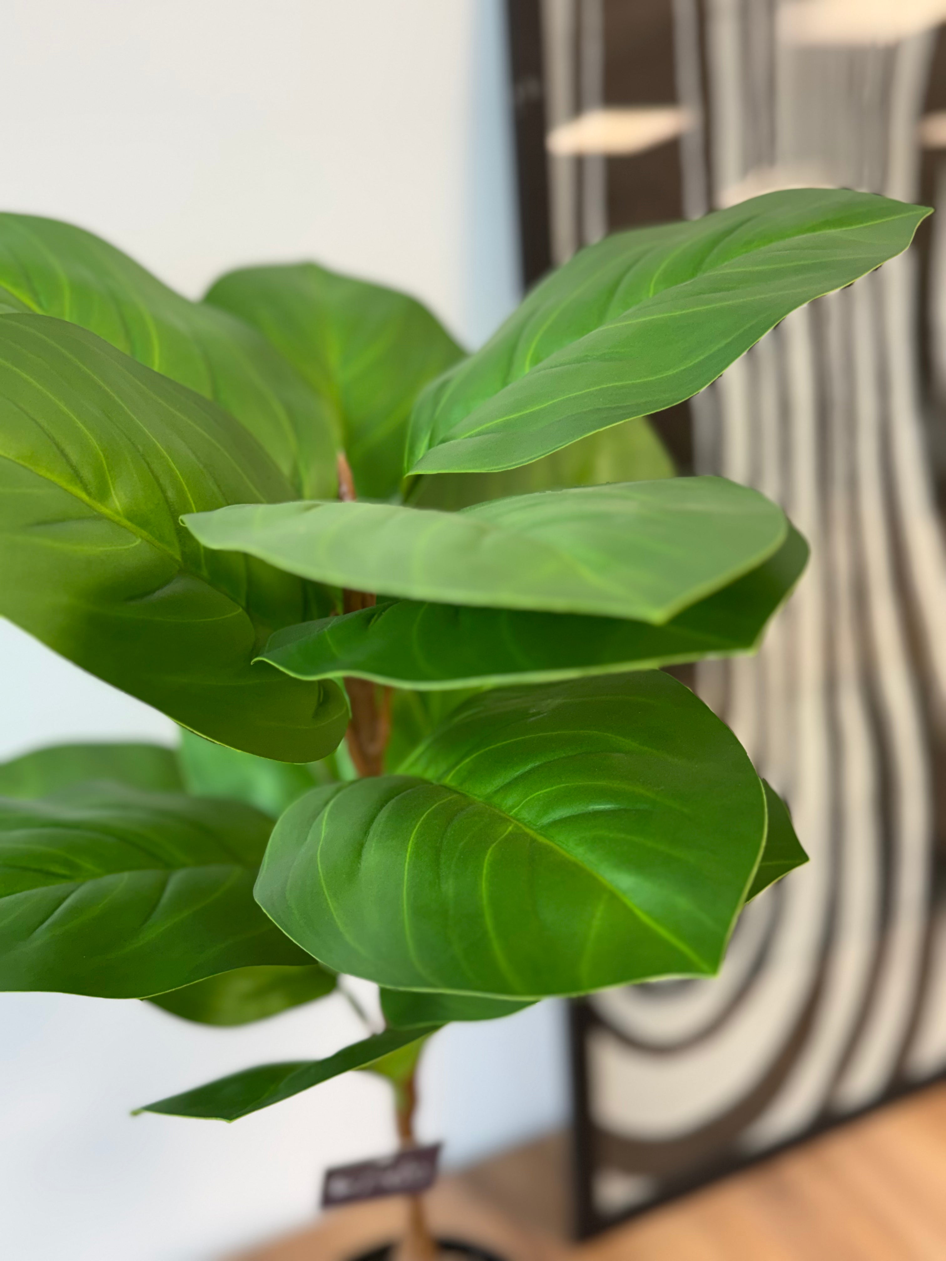Planta Ficus Gomero Artificial 70 cm Verde Claro con Maceta