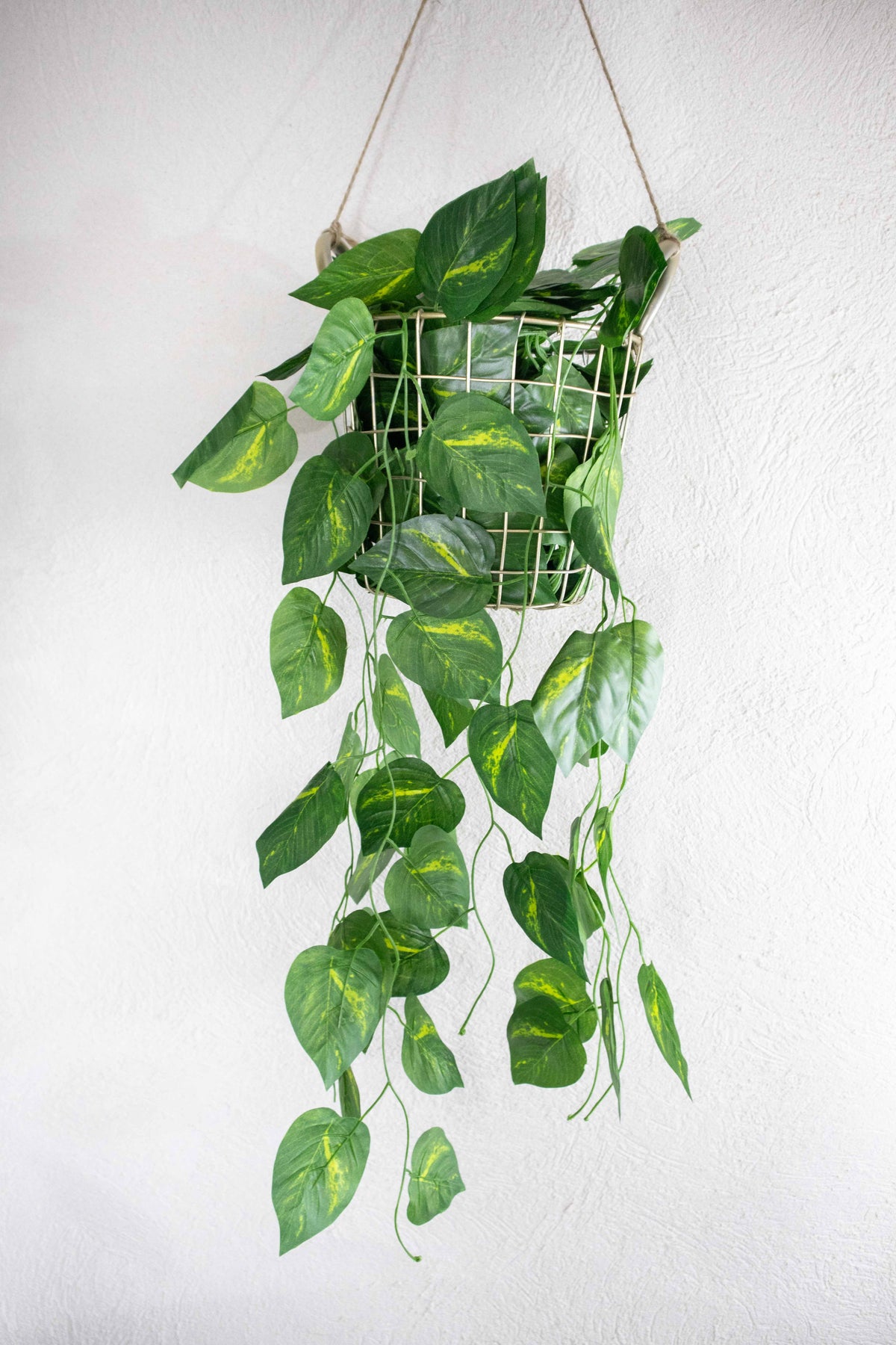 Tira Enredadera Colgante Artificial 230 cm Calidad Premium