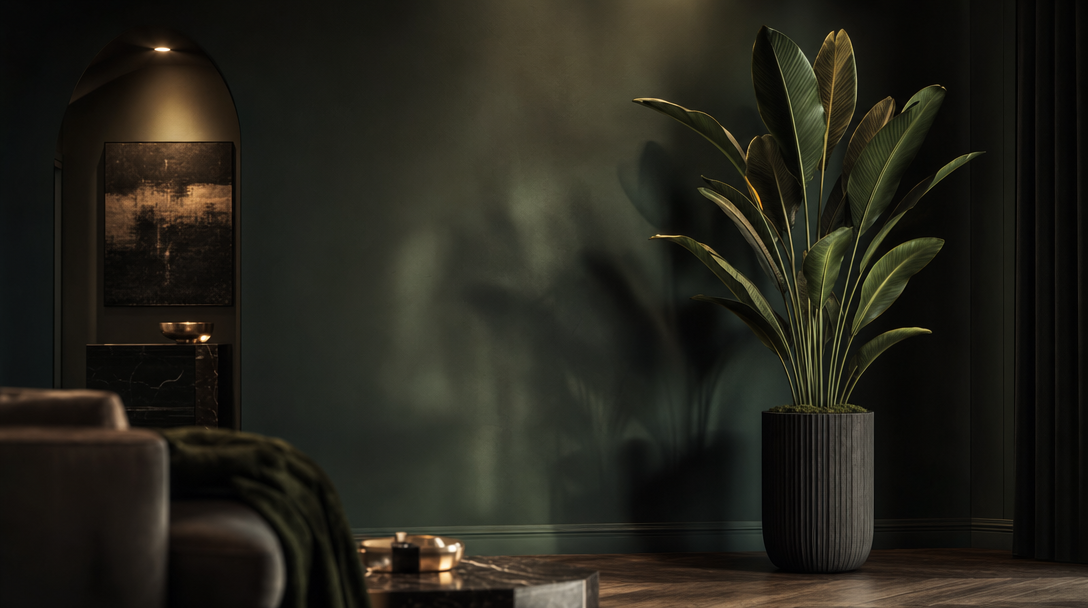 GRIFLOR — interior botanico cinematografico con planta de ave del paraiso