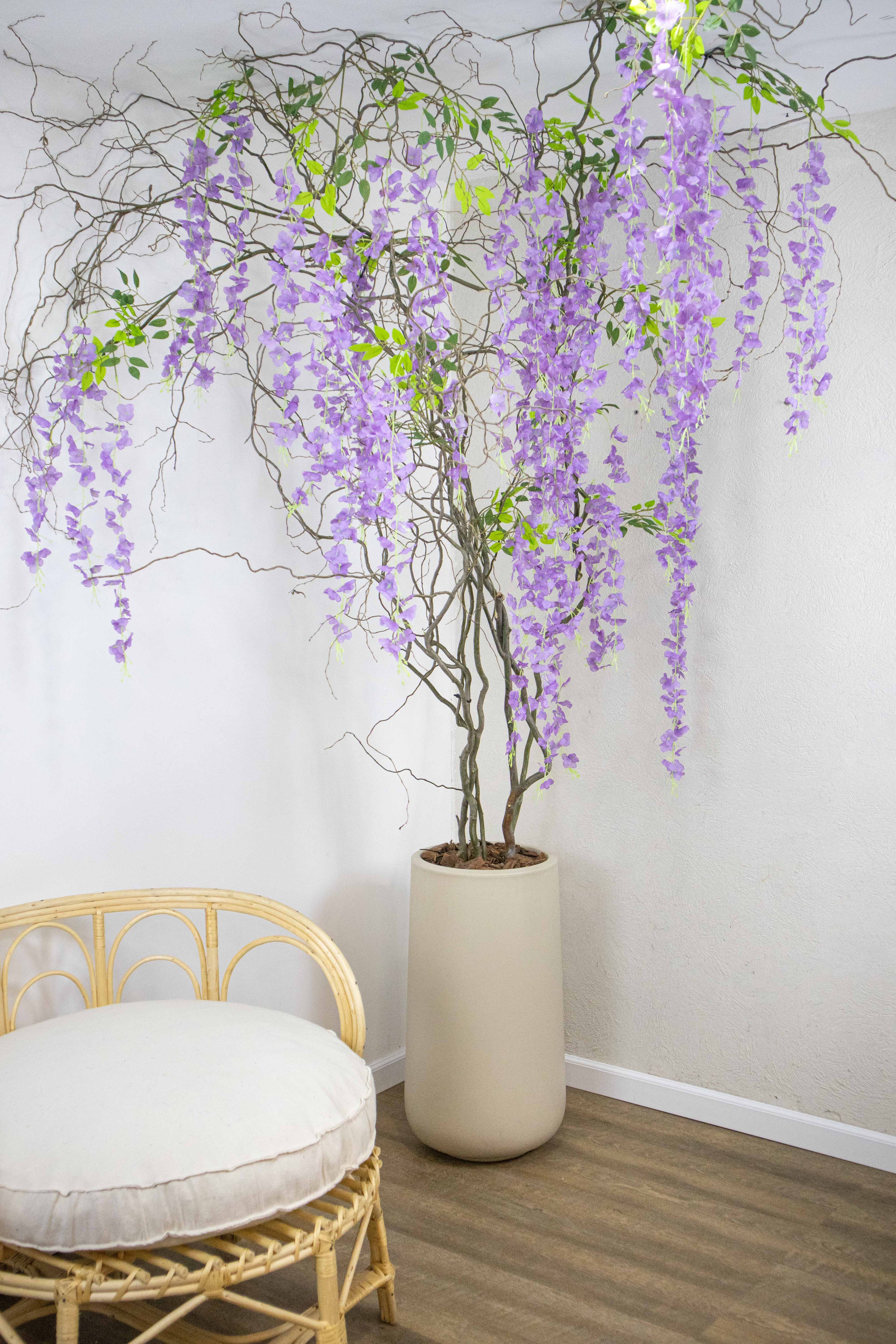 Vara Colgante Wisteria Glicinia Lila 100 cm Pack x12
